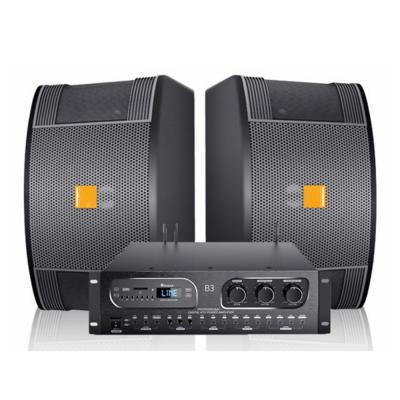 China No Use 10 Inch Professional High Quality Class 2*150W Karaoke Speakers System Home Speaker For Singing With Pro Amplifier for sale