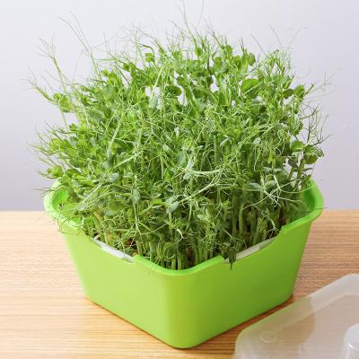 China Plastic GARDEN Factory Seed Starter Tray Seed Germination Tray Soilless cultivation for sale