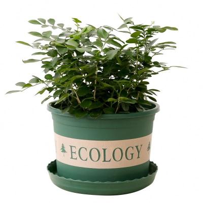 China Modern Manufacturer Supply Pot Body Thickened Durable Circle Indoor Flower Pots In Bulk for sale