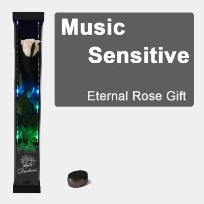 China Rose Music Sensitive Modern Novel Design High Tech LED Gift Ideal 2021 Premium Luxury Box Preserved Forever Eternal Rose Flower for sale