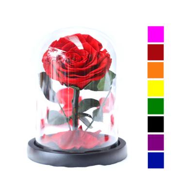 China Red Preserved Rose Domes Glass Flower Box Eternal Gift Preserving Pots Real Mini Dome Roses 15*15*21cm for sale