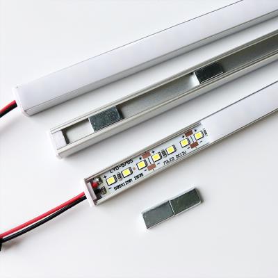 China Modern Magnetic LED Lights For Shelves 12/24v Low Voltage LED Strips LED Strips For Showcase for sale