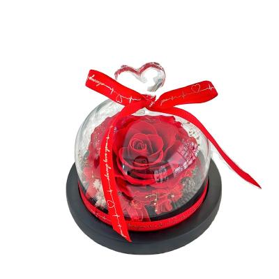 China Hand Made Preserved Roses Eternal Preserved Roses Touch Roses Roses Valentine's Day Valentine's Day Valentine's Day Gifts Real For Valentine's Day Gift for sale