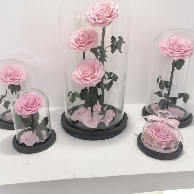 China Real Rose Hot Sale Real Rose Romantic Preserved Preserved Roses In Eternal Flower Glass Dome For Girl Woman Red Valentine's Day Gift for sale