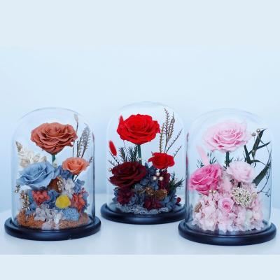 China Celebrating Every Love Preserved Rose 60 Colors Stabilized Forever Eternal Roses In Glass Dome For Mothers Valentine's Day Gifts for sale