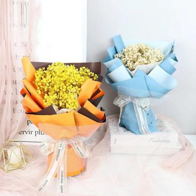 China Wholesale Simple and Elegant Natural Amazon Flower Resin Baby's Breath Dry Bouquet for Festival Party Home Decoration for sale