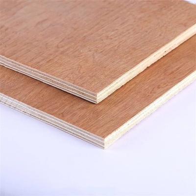 China 18mm contemporary bintangor /okoume/poplar/bich veneer laminated commercial plywood sheets plywood for sale