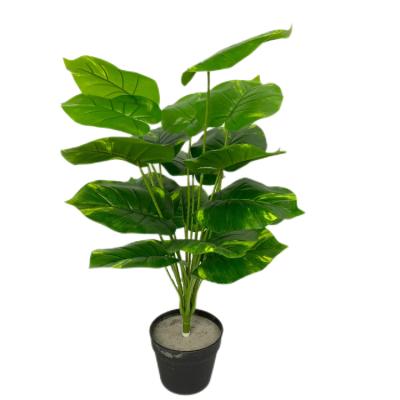 China Beautiful 18 colorful green plants of indoor home simulation desktop simulation head green scumbraceus leaf bonsai decoration for sale