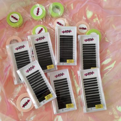 China Professional Extremely Soft Eyelash Extension Fan Whips Wholesale Eyelash Extension Supplies of Different Eyelash Extensions for sale