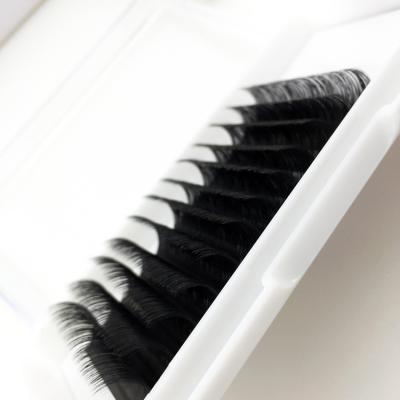 China Full Volume Easy Fan Lash Eyelash Extension Soft Superior Korean Silky Superroot Las Extension Supplies for sale