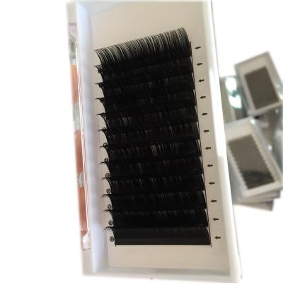 China Natural Private Label Eyelash Extension Fan Pre Made Glue Extension Eyelashes Matte Black Lash Extensions Easy Fan for sale