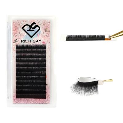 China Natural Best Quality Private Label Long Dark Eyelash Korea Pbt Camellia Extension Product for sale