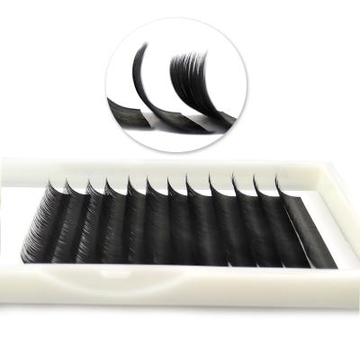 China Long Soft Natural Long Dark Natural Camelliar Lash Volume Supply Eyelash Extention for sale