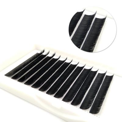 China Lash Private Label Easy Fan Natural Single Blooming Long False Eyelash Extensions for sale