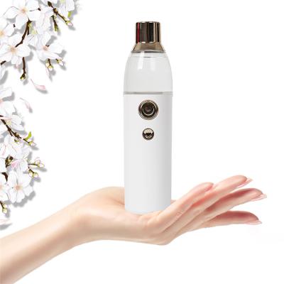 China New Custom Nano Ultrasonic Water Mist Small Nano Moisture Long Lasting Facial Mist Sprayer for sale