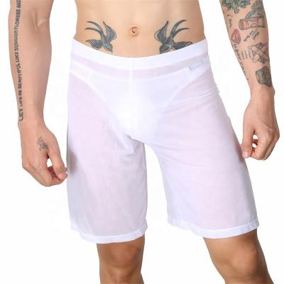 China Men's Viable White Elastic Waistband Casual Transparent Mesh Shorts Sleeping Shorts for sale