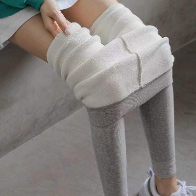 China 2022 Antibacterial Fleece Wool Fleece Gaiters Women Warm Winter Female Antibacterial Skinny Thick Pants Trousers for sale