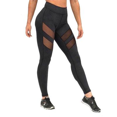 China Breathable Sexy Women Wholesale Mesh Splice Running Tights Gym Yoga Gaiters Fitness Exercise Sporty Legging Pants for sale