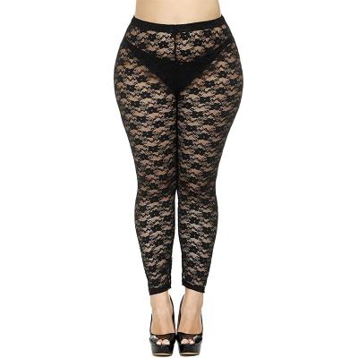 China Breathable Women Plus Size Lace Pattern Capris Gaiters Stretch Tights for sale