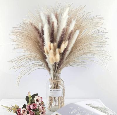 China Natural Dry Gold Ball Reed Pampas Grass Bunny Tails Flower Bouquet Wholesale Reed Grass Bouquet Fluffy Dried Flower for Party Home Decor for sale