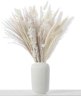 China 45-60cm Success Dried Flowers Bundle Wedding Decor Pampas Grass Dried Bunch for sale