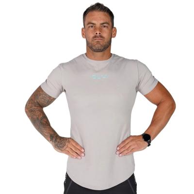 China Wholesale Breathable Plus Size Sport Gym Shorts Sleeve Round Neck Polyester/Cotton Custom Men's Plain T-Shirts for sale