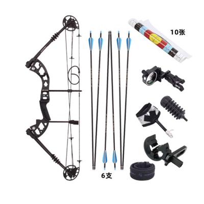 China Hunting Good Quality 6 Pcs Plastic Carbon Arrows Archery Target Arrow Rest Compound Bow Paper Set for sale