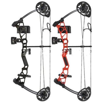 China Adjustable Archery Bow Arrow TIR 16LBS 28LBS Shooting Kids Compound Bow for sale