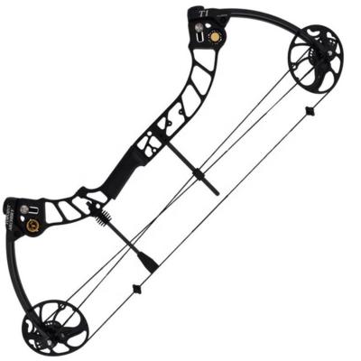 China High Performance T1 Archery Colorful Bow Hunting Training Target Compound Bow For Sale for sale