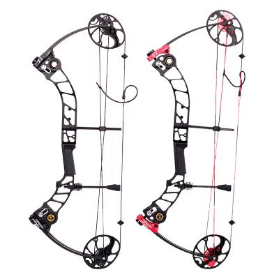 China Colorful Machining CNC Technic TIR Dual Cam Adjustable Archery T1 Aluminum Compound Bow for sale