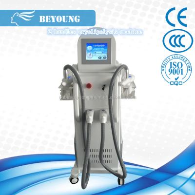 China Weight Loss Two Handles Cryoprobe Cavitation Machine for sale