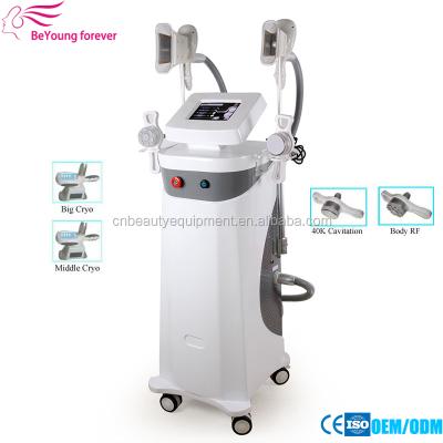 China 2017 Cool New Arrival Technology Weight Loss Fat Freezing Slimming Machine for sale