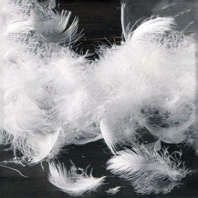 China Hot Wholesale Factory Direct Sales Stocking Water Wash 2-4 Duck Feather Slices No Odor White for sale