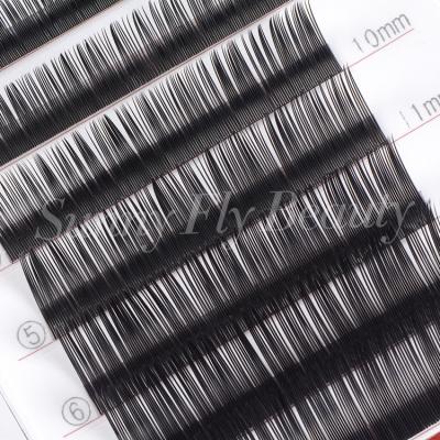 China Good Quality PBT Fiber 0.25 Korea Premium Factory Custom Bulk 20 Trays Eyelash Extensions for sale