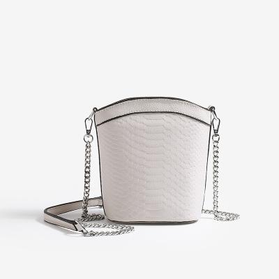 China Fashinable 2022 Newest Snake Pattern Bucket Bag Fashion Messenger Bag Women Shoulder Chain Handbag for sale