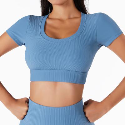 China 2022 New Arrival Breathable Quick-drying Breathable Soft Women Crop Top Gym Fitness T-Shirt for sale