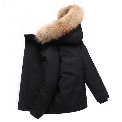 China Calls Fashion Design Hot Selling Captain Waterproof Down Coat Feather Down Jackets Men for sale