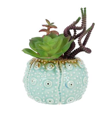 China Artificial Succulent Plants Flower Pot Ceramic Pot Eco-friendly Artificial Succulent Potted Plants Fake Plants For Room Decor for sale