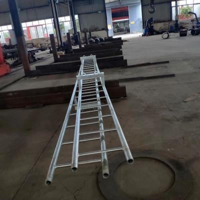 China For Power Line Transmission And Distribution Hot Dip Galvanized Stainless Steel Step Ladders For Steel Tower Frame for sale