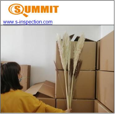 China Pampas Grass CE Pre Shipment Inspection Services for sale