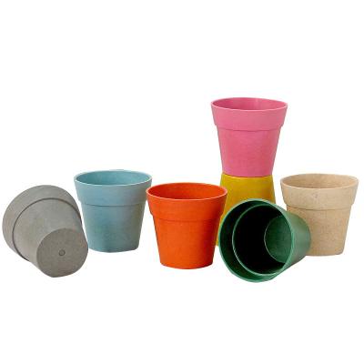 China Peat Minimalist Bamboo Biodegradable Cup Small Seedling Flowerpot Cute Fiber Flower Pot for sale