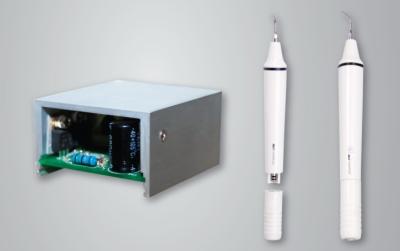 Cina Pulitore ultrasonico dentario ultrasonico dentario piezo-elettrico staccabile professionale del contatore 24VDC in vendita