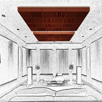 China D30S Sound Box D30S Sound Room Ceiling Acoustic Diffusion Set Meal Suspended Solid Wood Sound Diffuser Panel for sale