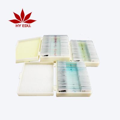 China Microscope Accessories Fixed Set 25kinds Zoology Microscope Prepared Slides for sale