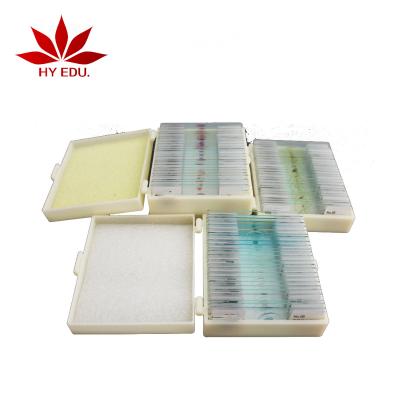 China Senior and Elementary School Students Studying Instructing Items for School Botany Entomology Zoology Microscopic Specimen Glass Slides Set Arranged Slides for Microscope for sale