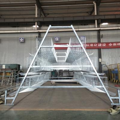 China Factory Poultry Farms H Type Battery Installation Egg Layer Chicken Cages for sale