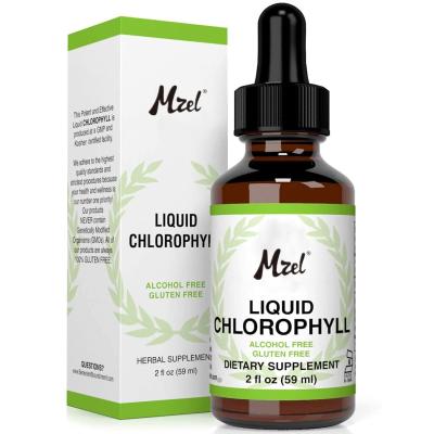 China Health Protects Private Label 100% Natural Energy Supplement Chlorophyll Mint Liquid for sale