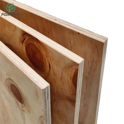 China Raincoat ; Cheap Competitive Price 18mm Cdx Pine Plywood 11mm 15mm 18mm Knotty Pine Plywood For Construction for sale