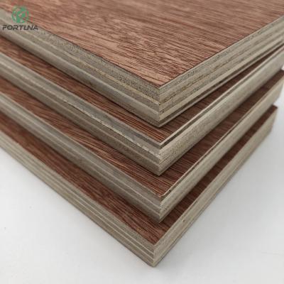 China Raincoat ; Wholesale Competitive Price Quality FSC 1200*2400mm Best Use E0 E1e2 Wbp Cheap Plywood Okoume For Furniture for sale