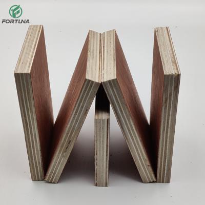 China Raincoat ; Good Price18mm Furniture Grade Of Competitive Price Twice Full Press Hot Natural Birch Plywood FromWith FSC Trade Certificate for sale